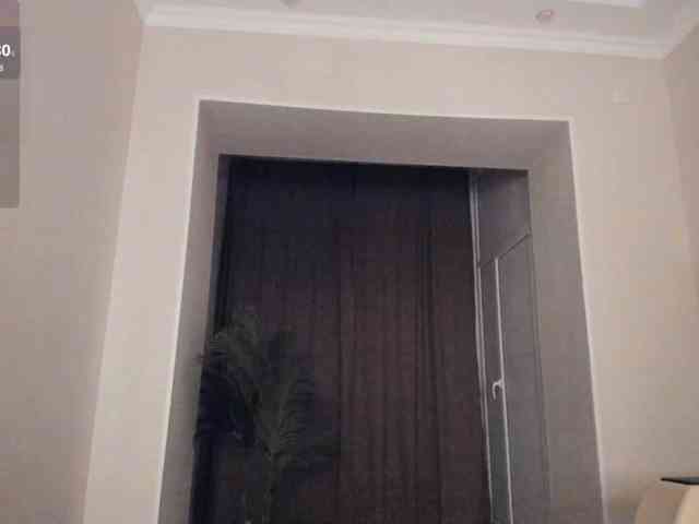 YunLe webcam