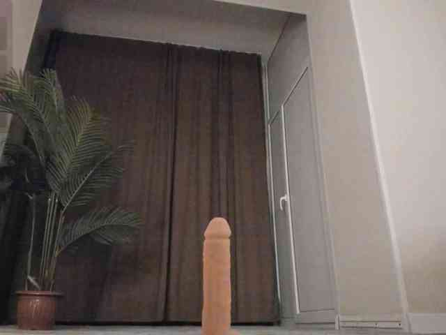 YunLe webcam
