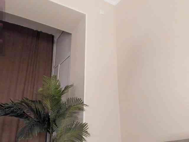 YunLe webcam