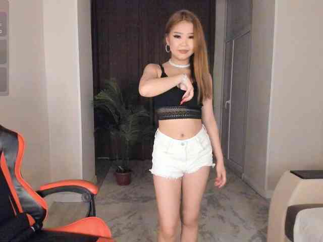 YunLe webcam