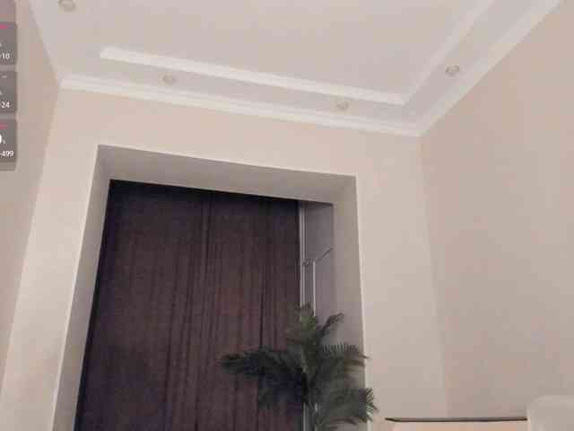 YunLe webcam