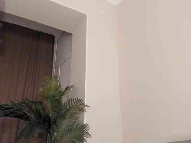 YunLe webcam