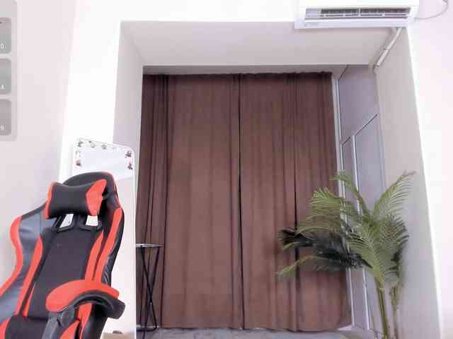 YunLe webcam