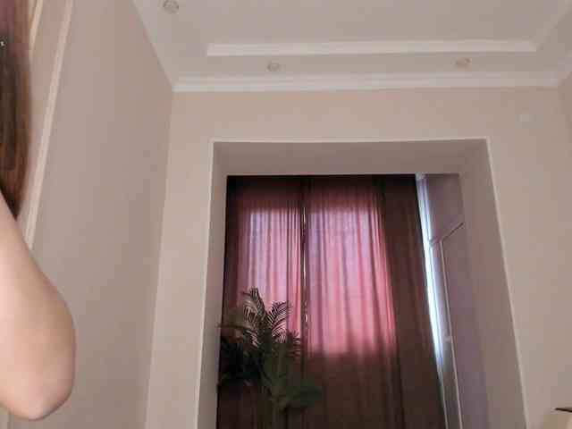 YunLe webcam