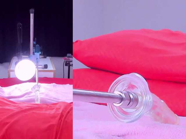 Cattleya-Annie webcam