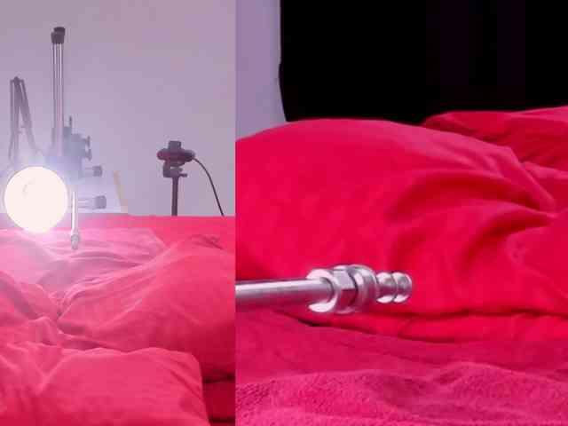 Cattleya-Annie webcam