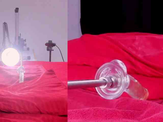 Cattleya-Annie webcam