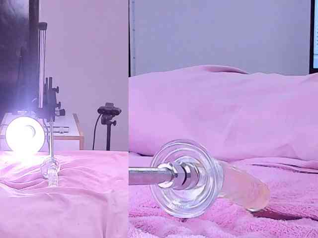 Cattleya-Annie webcam