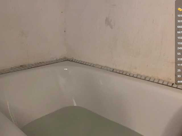BrigidaTapscott live cam on BongaCams