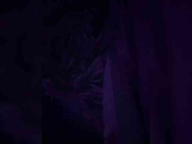 Azaleavolkova Live Webcam on BongaCams
