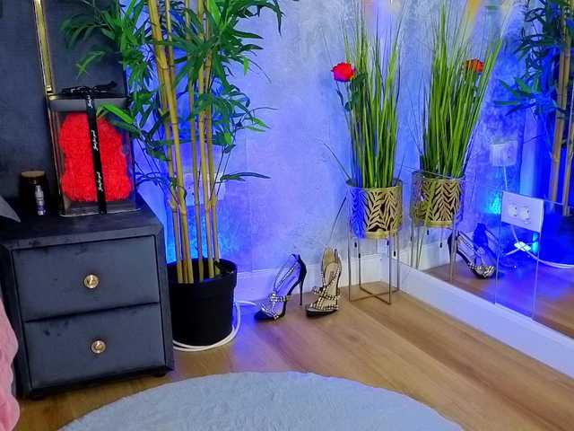 ValeryEvan live cam on BongaCams