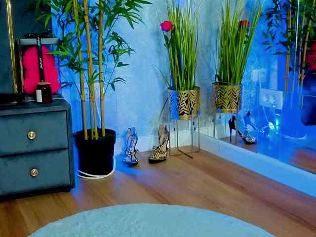 ValeryEvan webcam