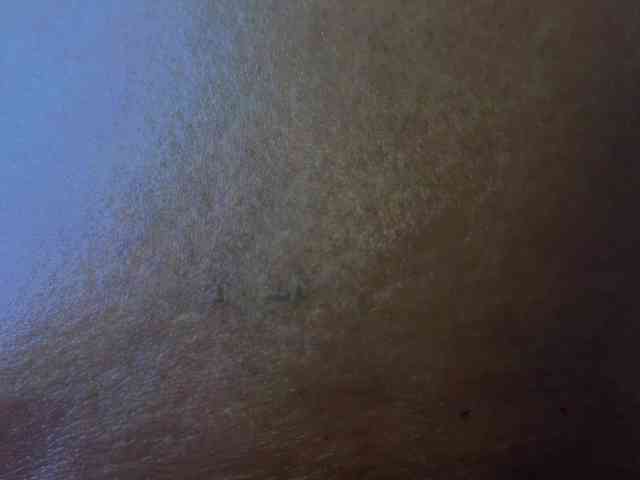 KarolVIPXXX