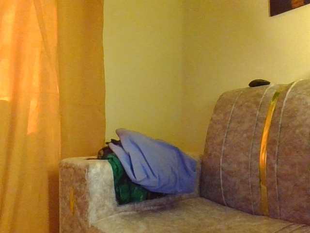FlittyKitty