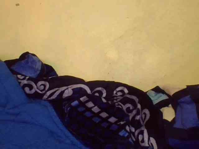FlittyKitty webcam