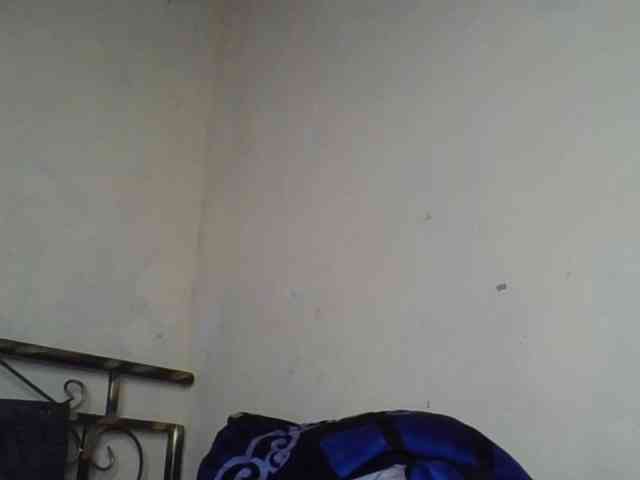 FlittyKitty webcam