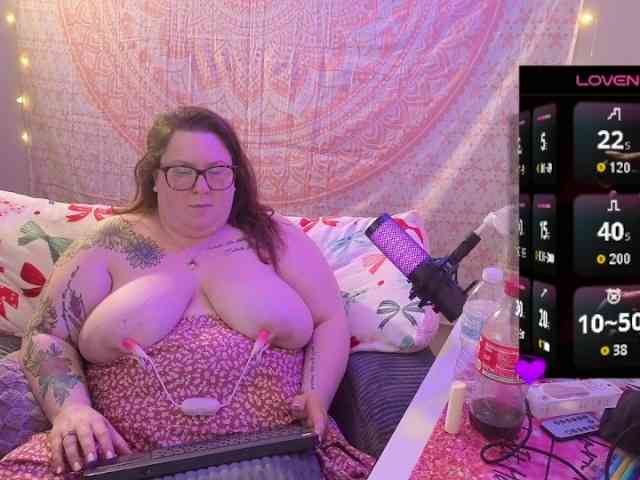 Kinkybell webcam