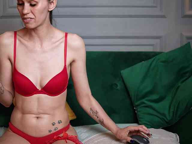 LucyBook webcam
