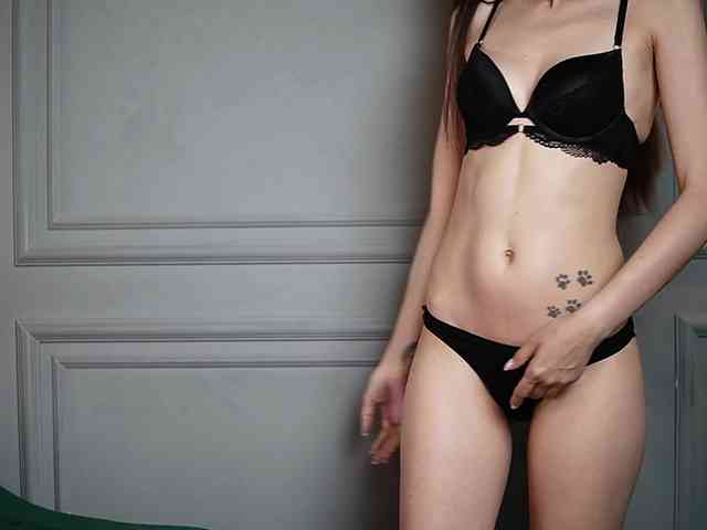 Modelo: LucyBook