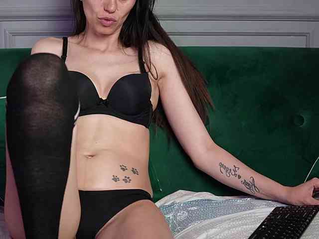 Modelo: LucyBook