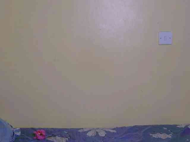 chelsdiva webcam