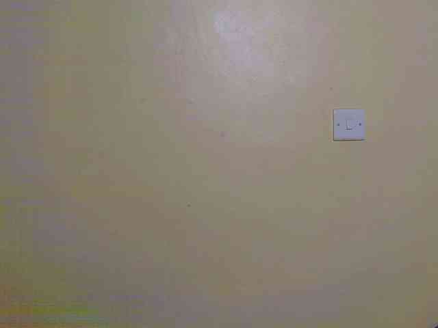 chelsdiva webcam