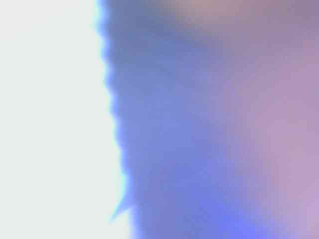 chelsdiva webcam