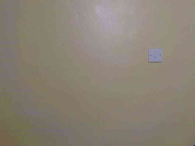 chelsdiva webcam