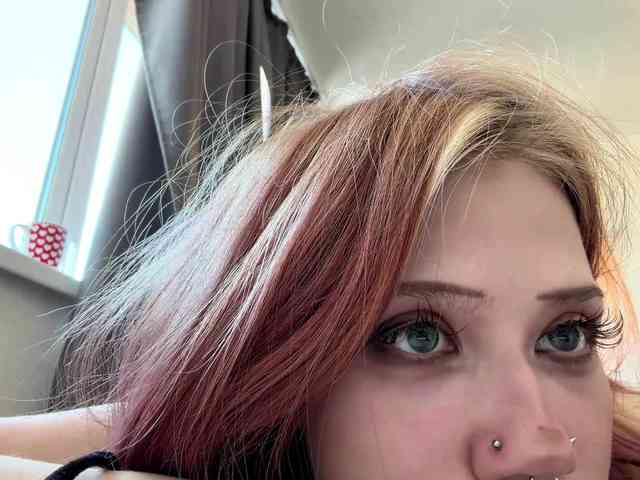 Модель: MeowAkira