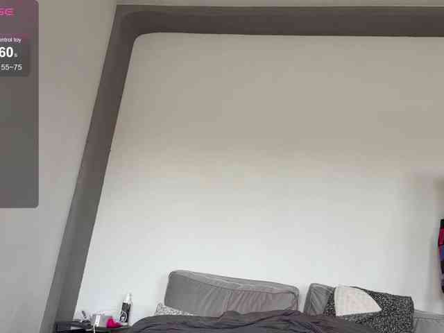 MeowAkira webcam