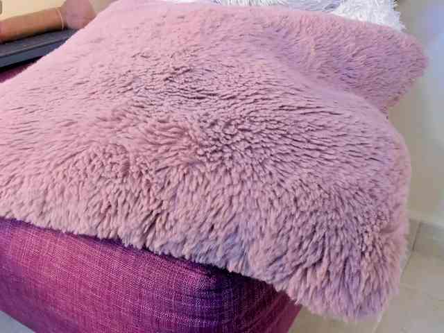 ALICEBLOOM webcam
