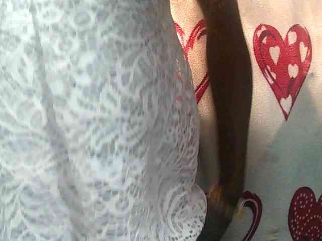 Santatriniaina webcam