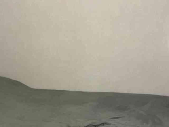 SofiaAurum webcam