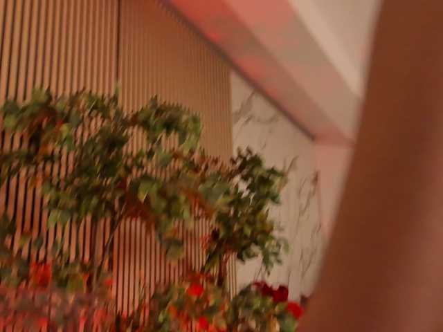 TheaOrre live cam on BongaCams