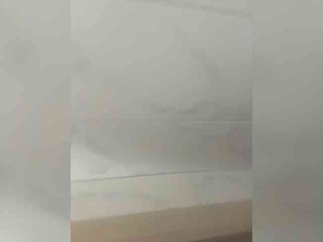 VibroMashulka webcam