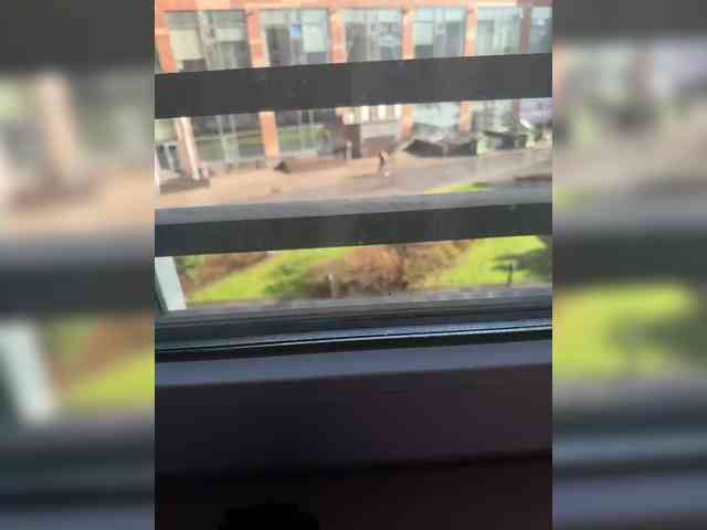 VibroMashulka webcam