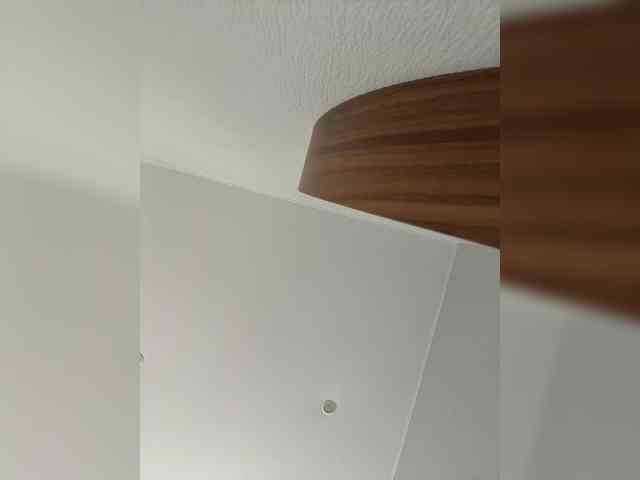 VibroMashulka webcam
