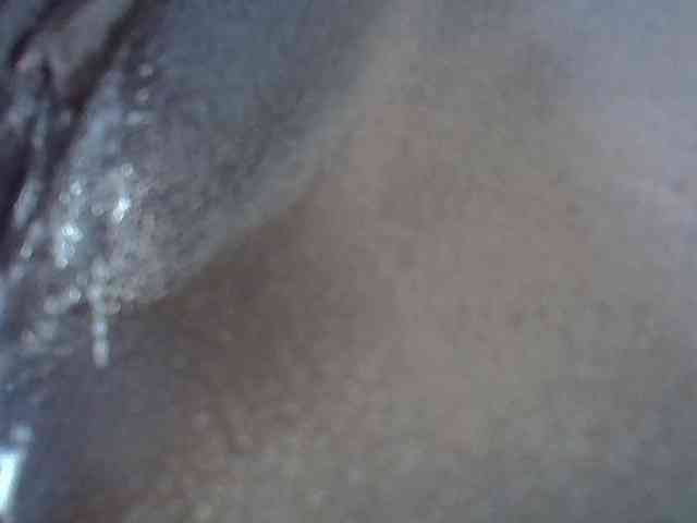 Queenbeea webcam