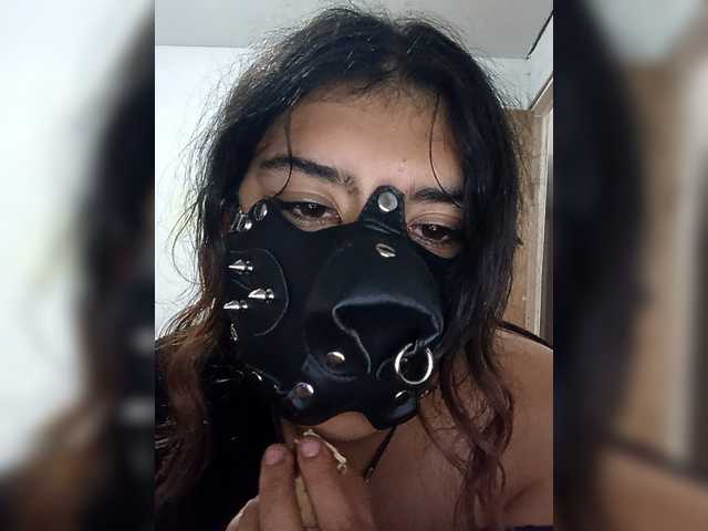 Preview of puppylaika23