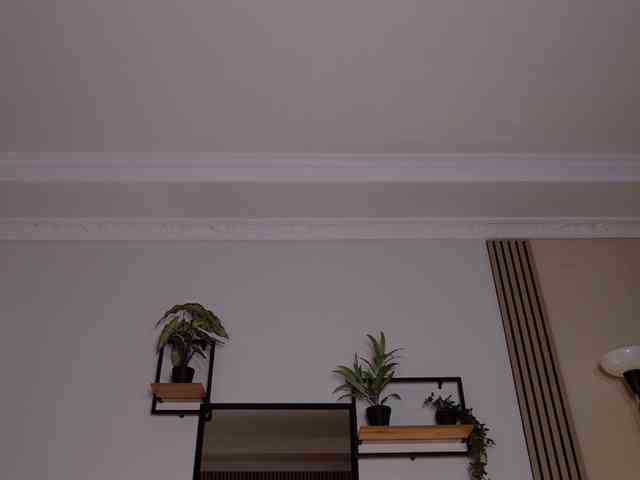AizaXO webcam