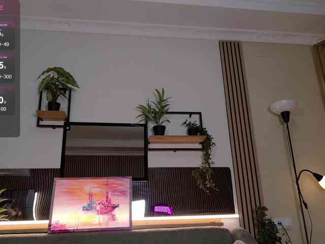 AizaXO webcam