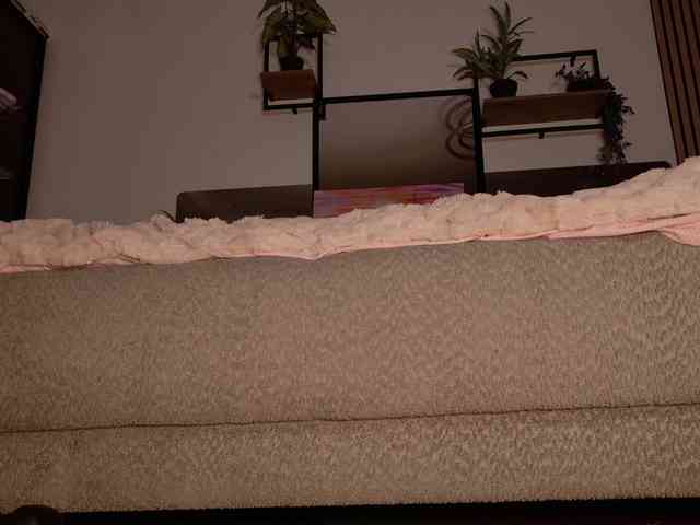 AizaXO webcam