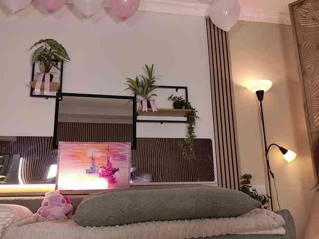 AizaXO webcam
