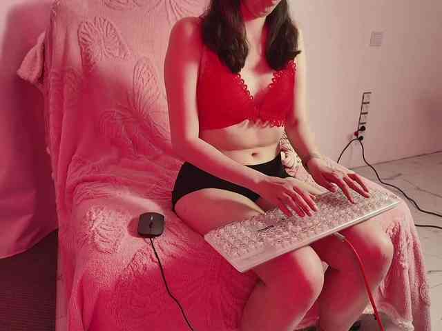 Dasinda webcam
