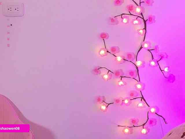 Sashaowen webcam
