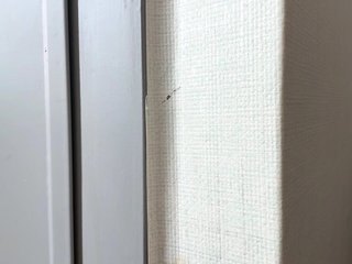 EmillyCarte Porn Show