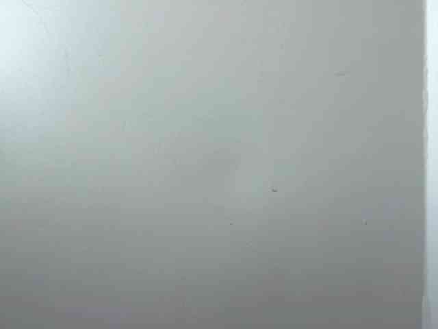 EmillyCarte webcam