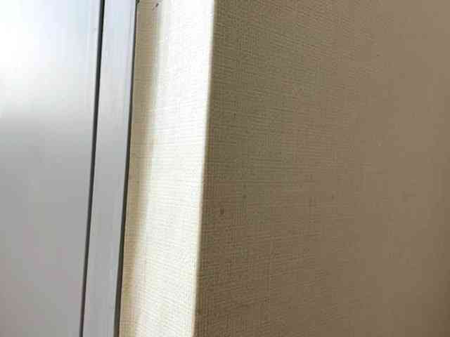 EmillyCarte webcam