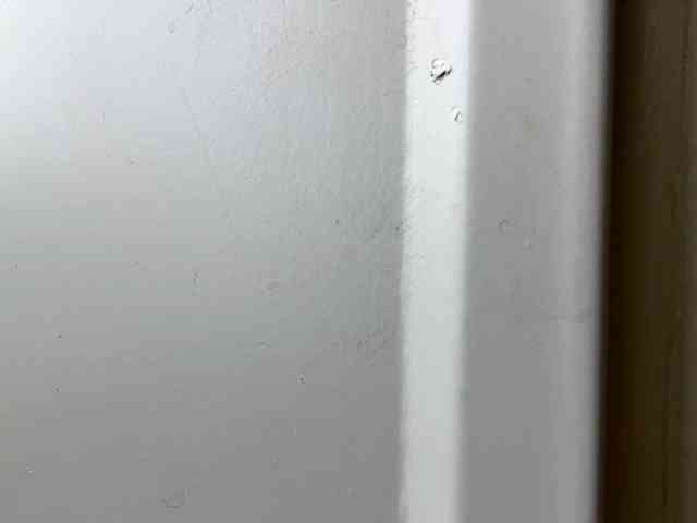 EmillyCarte webcam