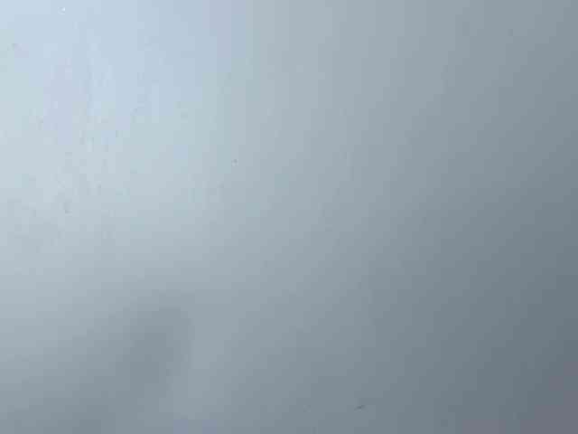 EmillyCarte webcam
